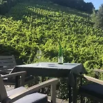 Talblick I Cochem