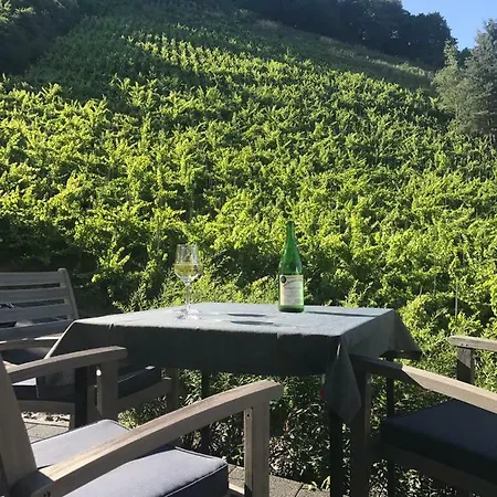 Talblick I Cochem