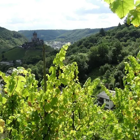 Talblick I Cochem
