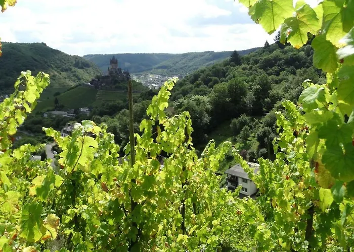 Talblick I Cochem